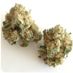 Шишки "White Widow" (Белая вдова) Гидропоника - Бошка VHQ в Черкесске Шишки "White Widow" (Белая вдова) Гидропоника - Бошка VHQ в Черкесске