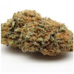 Шишки AK47  (Гидропоника, Бошка) VHQ в Черкесске